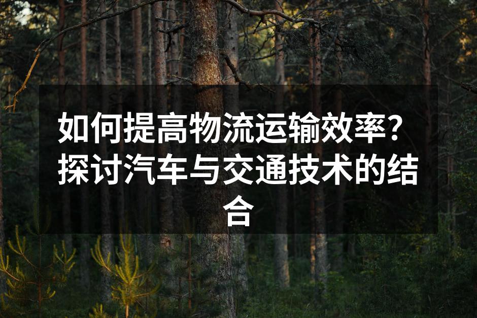 智能运输系统提高效率