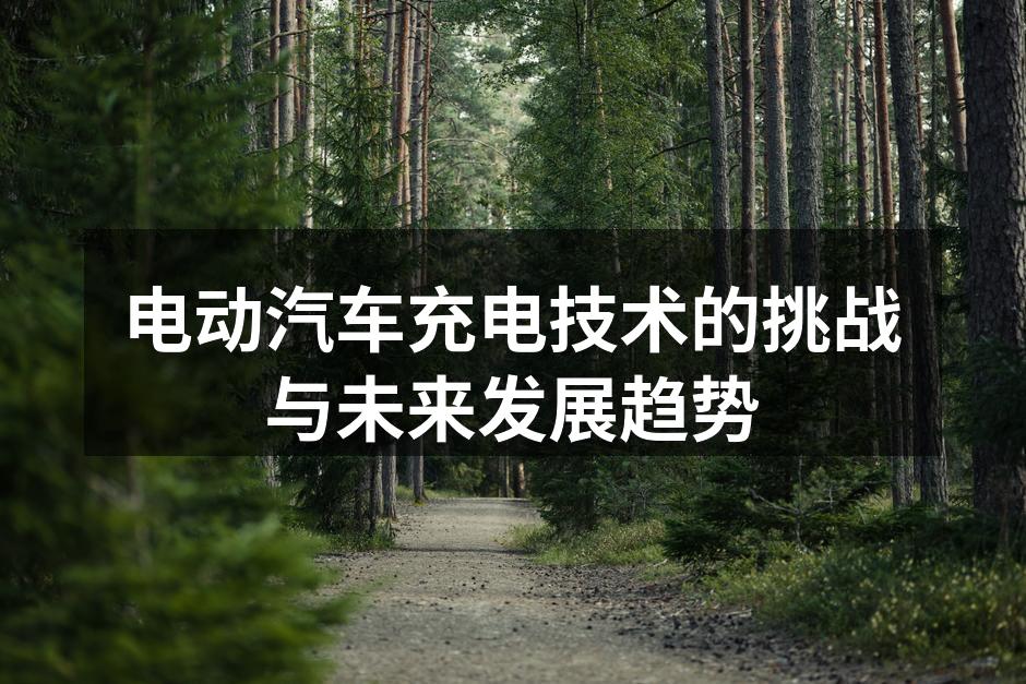电动汽车充电桩示意图